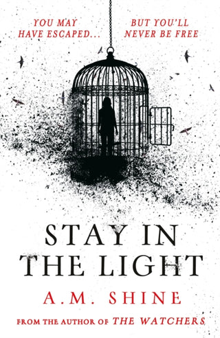 Cover image for 9781804547953 - Stay in the Light