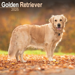 Cover image for 9781804603499 - Golden Retriever Calendar 2025 Square Dog Breed Wall Calendar - 16 Month