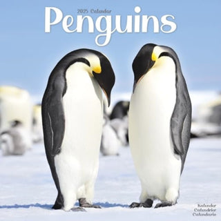 Cover image for 9781804604441 - Penguins Calendar 2025 Square Animal Wall Calendar - 16 Month