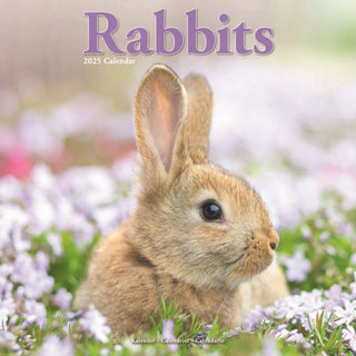 Cover image for 9781804604489 - Rabbits  Calendar 2025 Square Animal Wall Calendar - 16 Month