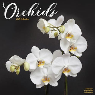 Cover image for 9781804604793 - Orchids Calendar 2025 Square Flowers Wall Calendar - 16 Month