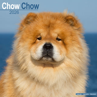 Cover image for 9781804606285 - Chow Chow Calendar 2026  Square Dog Breed Wall Calendar - 16 Month