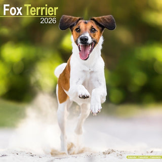 Cover image for 9781804606438 - Fox Terrier Calendar 2026  Square Dog Breed Wall Calendar - 16 Month