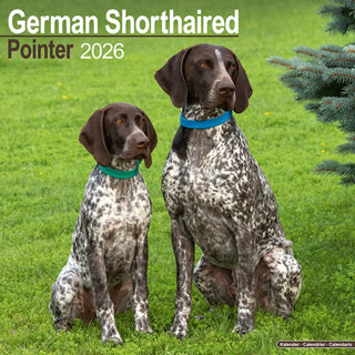 Cover image for 9781804606476 - German Shorthair Pointer Calendar 2026  Square Dog Breed Wall Calendar - 16 Month
