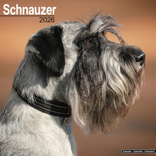 Cover image for 9781804606841 - Schnauzer (Euro) Calendar 2026  Square Dog Breed Wall Calendar - 16 Month
