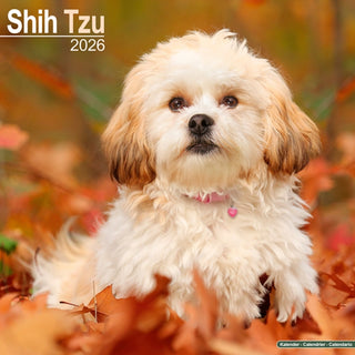Cover image for 9781804606902 - Shih Tzu Calendar 2026  Square Dog Breed Wall Calendar - 16 Month
