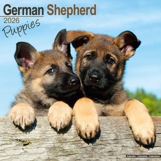 Cover image for 9781804607046 - German Shepherd Puppies Calendar 2026  Square Dog Puppy Breed Wall Calendar - 16 Month