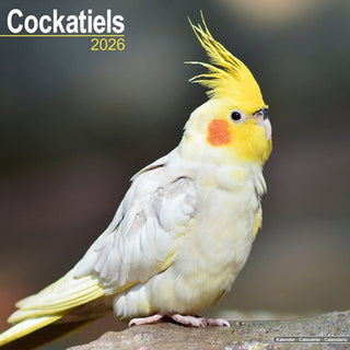 Cover image for 9781804607138 - Cockatiels Calendar 2026  Square Bird Wall Calendar - 16 Month