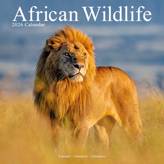 Cover image for 9781804607152 - African Wildlife Calendar 2026  Square Wildlife Safari Wall Calendar - 16 Month