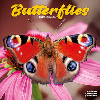 Cover image for 9781804607213 - Butterflies Calendar 2026  Square Butterfly Wall Calendar - 16 Month