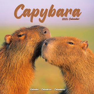 Cover image for 9781804607220 - Capybara Calendar 2026  Square Animal Wall Calendar - 16 Month