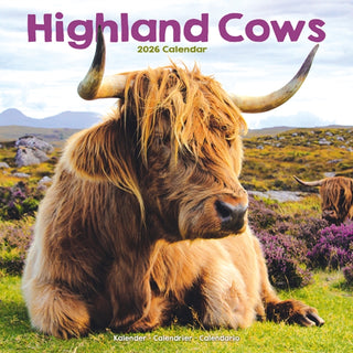 Cover image for 9781804607282 - Highland Cows Calendar 2026  Square Animal Wall Calendar - 16 Month