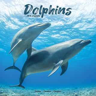 Cover image for 9781804607299 - Dolphins Calendar 2026  Square Animal Wall Calendar - 16 Month