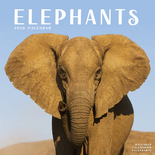 Cover image for 9781804607312 - Elephants Calendar 2026  Square Wildlife Safari Wall Calendar - 16 Month