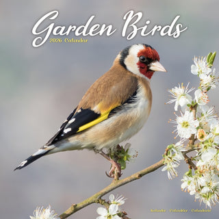 Cover image for 9781804607343 - Garden Birds Calendar 2026  Square Birds Wall Calendar - 16 Month