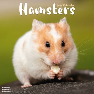 Cover image for 9781804607367 - Hamsters Calendar 2026  Square Animal Wall Calendar - 16 Month