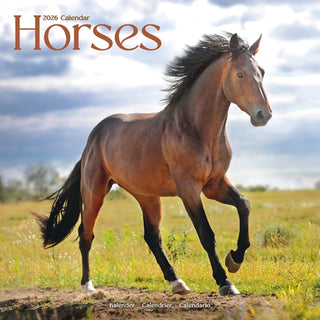 Cover image for 9781804607374 - Horses Calendar 2026  Square Horses Wall Calendar - 16 Month