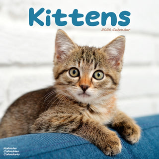 Cover image for 9781804607381 - Kittens Calendar 2026  Square Cats Wall Calendar - 16 Month