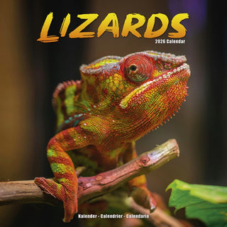 Cover image for 9781804607398 - Lizards Calendar 2026  Square Animal Wall Calendar - 16 Month