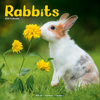 Cover image for 9781804607473 - Rabbits   Calendar 2026  Square Animal Wall Calendar - 16 Month