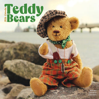 Cover image for 9781804607886 - Teddy Bears Calendar 2026  Square Wall Calendar - 16 Month