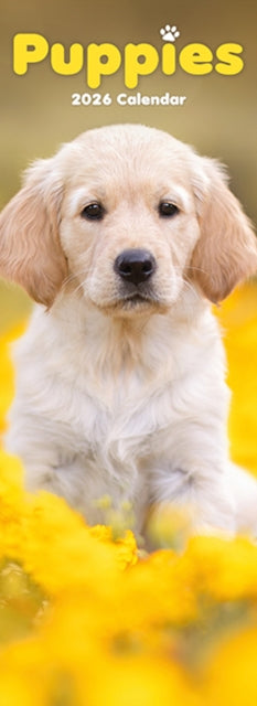 Cover image for 9781804608128 - Puppies Slim Calendar 2026  Dog Breed Slimline Calendar - 12 Month
