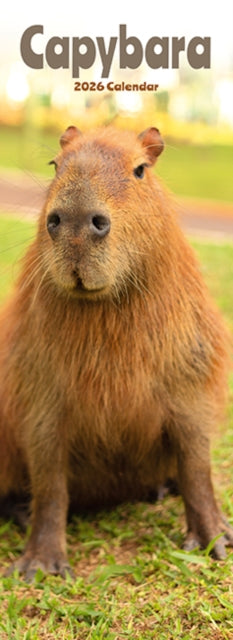 Cover image for 9781804608197 - Capybara Slim Calendar 2026  Cute Slimline Calendar - 12 Month
