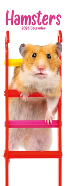 Cover image for 9781804608234 - Hamsters Slim Calendar 2026  Cute Slimline Calendar - 12 Month