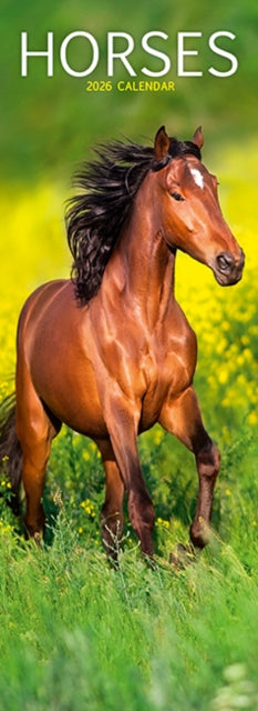 Cover image for 9781804608241 - Horses Slim Calendar 2026  Horses Slimline Calendar - 12 Month