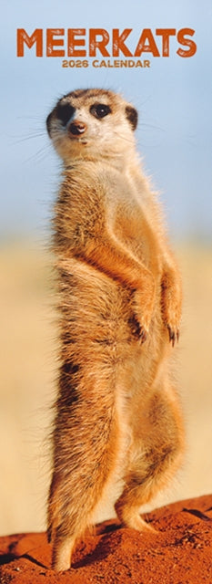 Cover image for 9781804608265 - Meerkats  Slim Calendar 2026 Cute Slimline Calendar - 12 Month