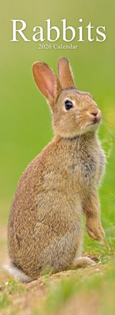 Cover image for 9781804608289 - Rabbits Slim Calendar 2026  Cute Slimline Calendar - 12 Month