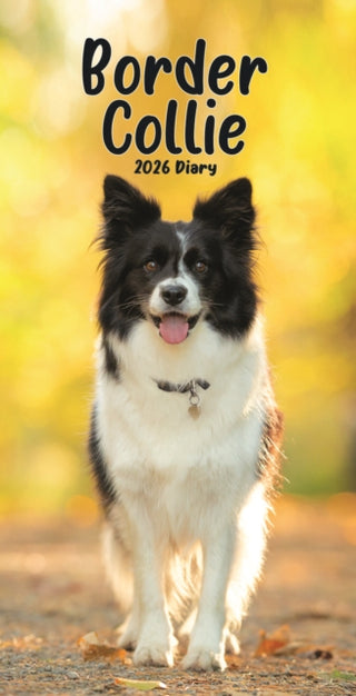 Cover image for 9781804608678 - Border Collies Slim Diary 2026