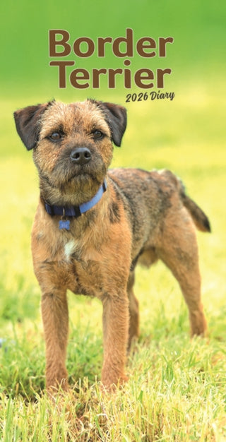 Cover image for 9781804608685 - Border Terriers Slim Diary 2026