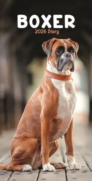 Cover image for 9781804608692 - Boxers Slim Diary 2026