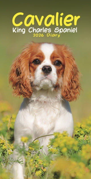 Cover image for 9781804608708 - Cavalier King Charles Spaniels Slim Diary 2026