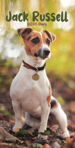 Cover image for 9781804608760 - Jack Russell Terriers Slim Diary 2026