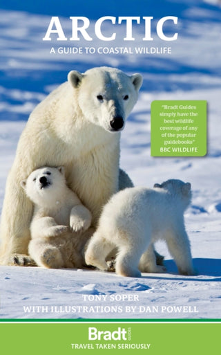 Cover image for 9781804693414 - Arctic