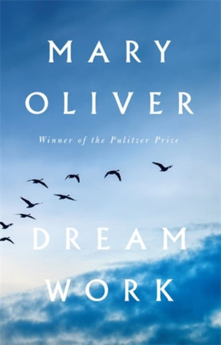Cover image for 9781804710937 - Dream Work