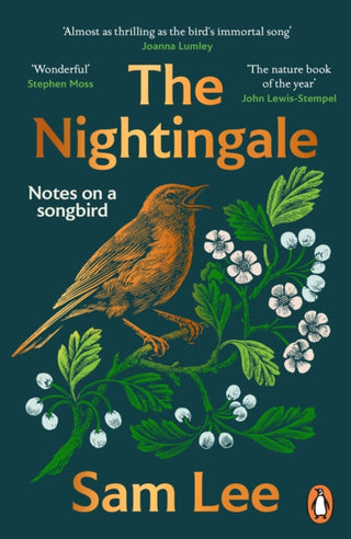 Cover image for 9781804942291 - The Nightingale