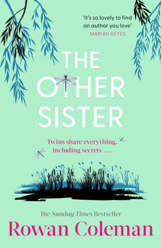 Cover image for 9781804950463 - The Other Sister