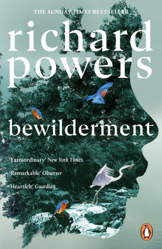 Supplemental image for 9781804951668 - Bewilderment