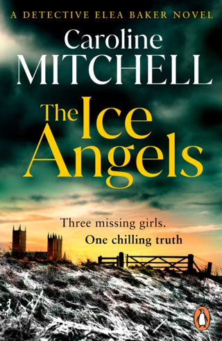 Cover image for 9781804955284 - The Ice Angels
