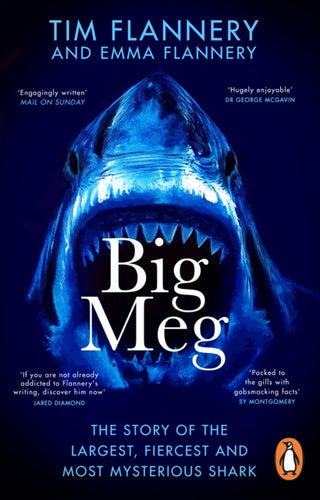 Cover image for 9781804992265 - Big Meg