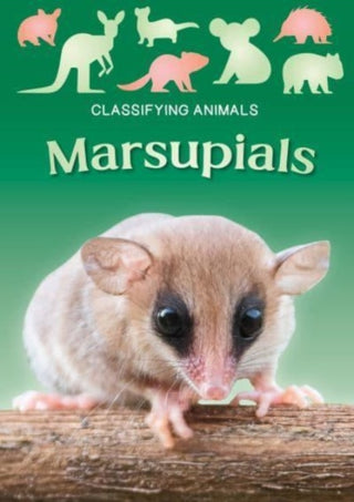 Cover image for 9781805053859 - Marsupials