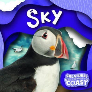 Cover image for 9781805053910 - Sky
