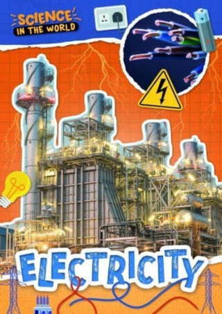 Supplemental image for 9781805053965 - Electricity