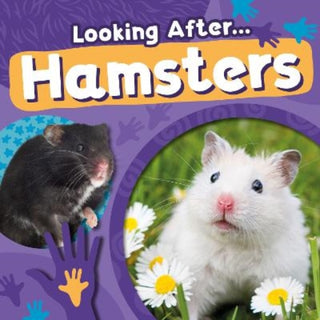 Cover image for 9781805057529 - Hamsters