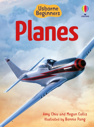 Supplemental image for 9781805079644 - Beginners Planes