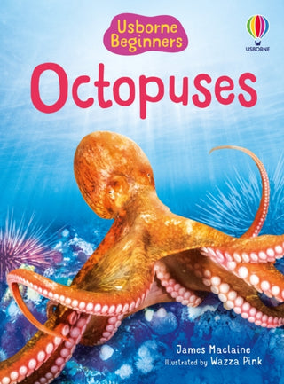 Cover image for 9781805079675 - Beginners Octopuses