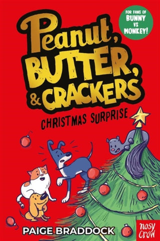 Cover image for 9781805134589 - Christmas Surprise